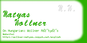 matyas wollner business card